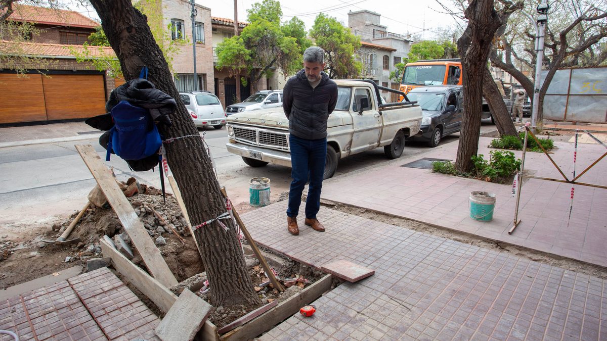 Veredas rotas, árboles caídos y calles que lastiman: la incompetencia del Estado que pagás con el cuerpo