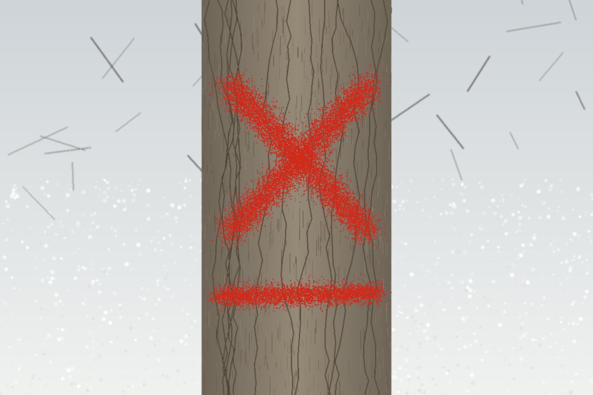 Árbol seco marcado con una cruz roja para su tala