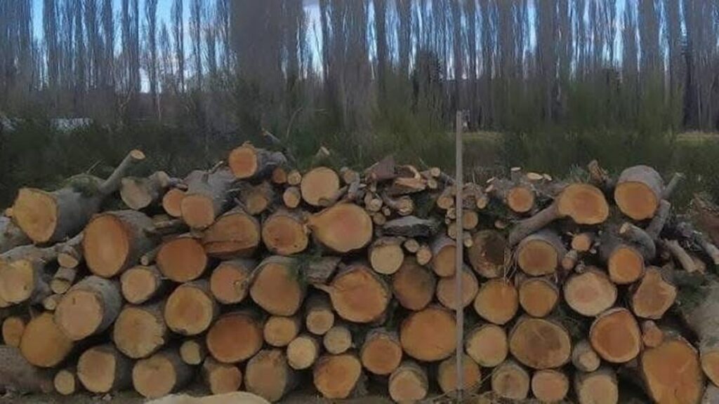 Leña cortada para el invierno en San Rafael, Mendoza