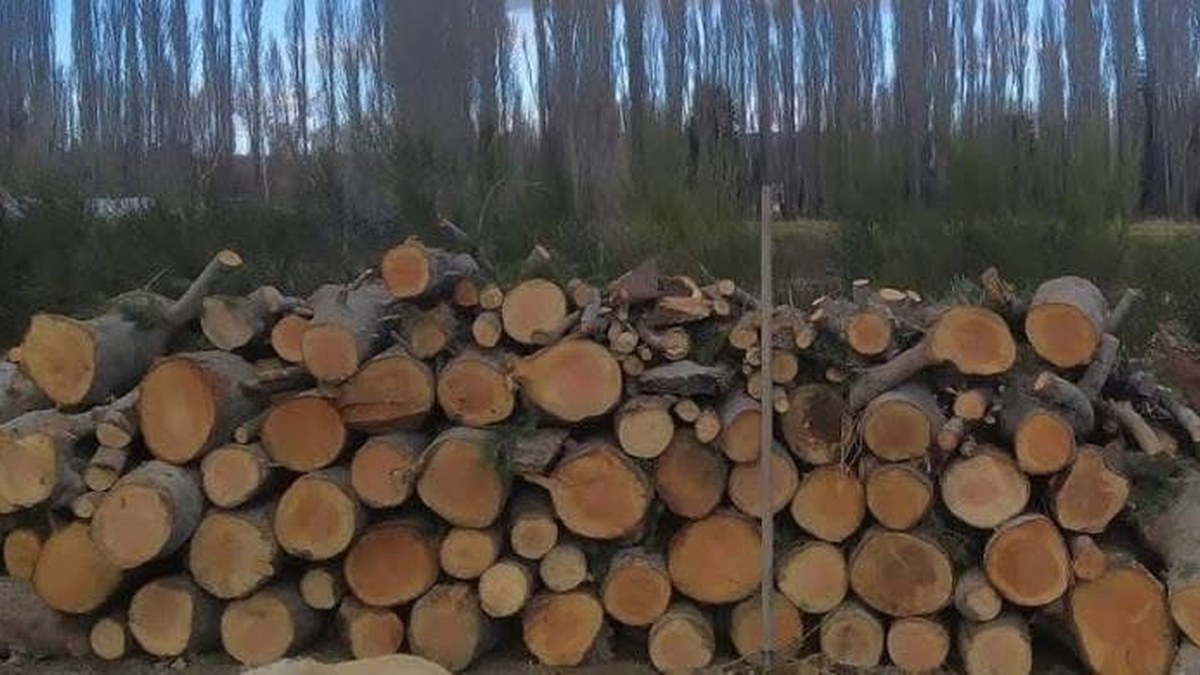 Leña cortada para el invierno en San Rafael, Mendoza