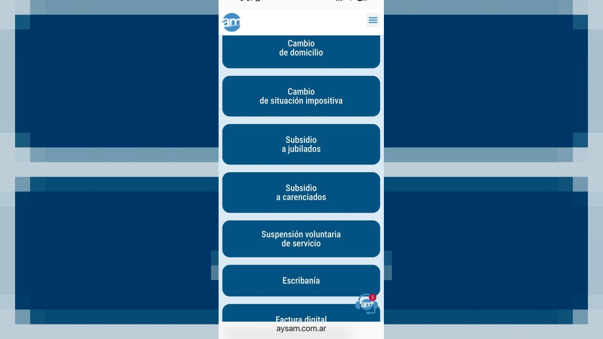 Pantalla de trámites en AYSAM con subsidios para jubilados y carenciados
