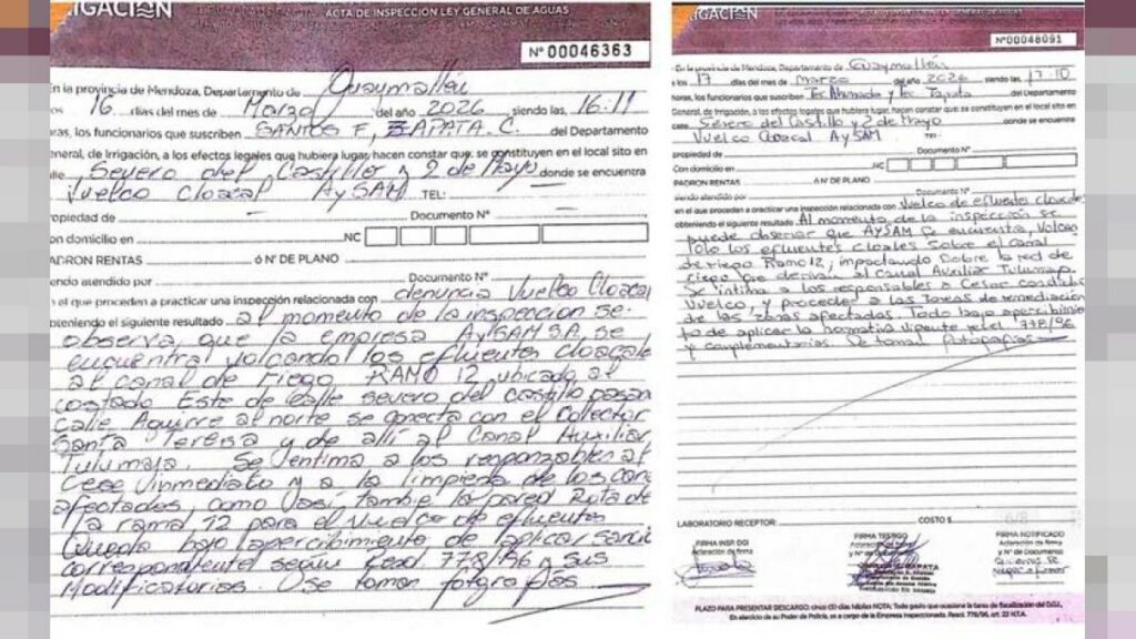 Actas de inspección de Irrigación N° 00046363 y N° 00048091 del 16 y 17 de marzo de 2026 — prueba del vuelco cloacal de AYSAM al Ramo 12 en Los Corralitos