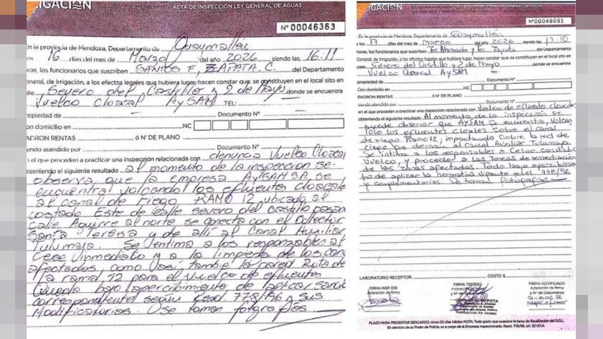 Actas de inspección de Irrigación N° 00046363 y N° 00048091 del 16 y 17 de marzo de 2026 — prueba del vuelco cloacal de AYSAM al Ramo 12 en Los Corralitos