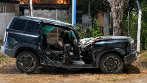 Murió un matrimonio por un árbol en la Ruta 143: por qué el “viento Zonda” no exime de responsabilidad al Estado